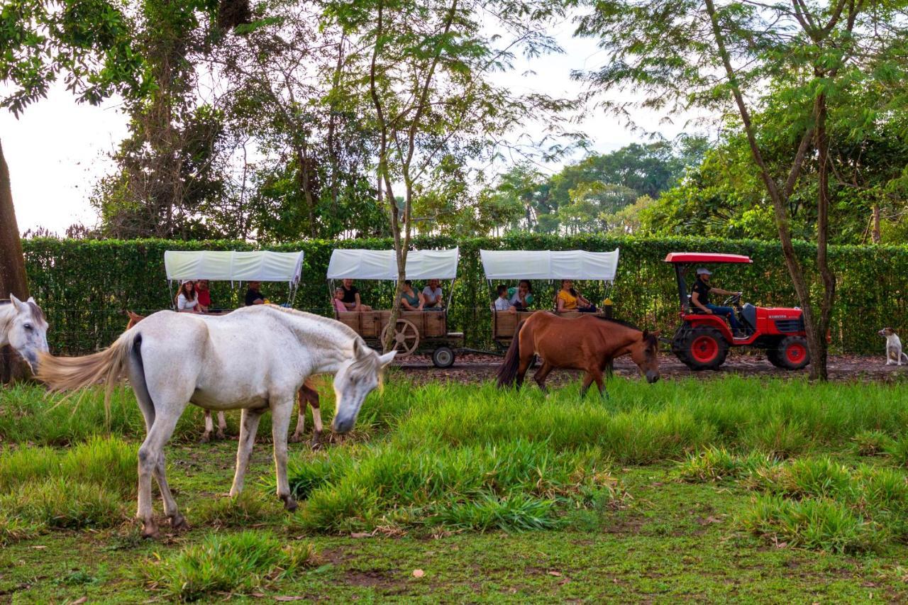 Hotel Campestre La Potra Apiay Zewnętrze zdjęcie